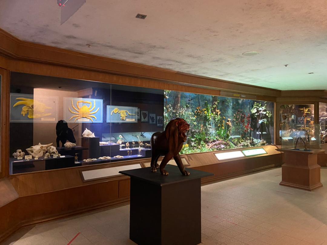 Nature Rescources and Economy Gallery