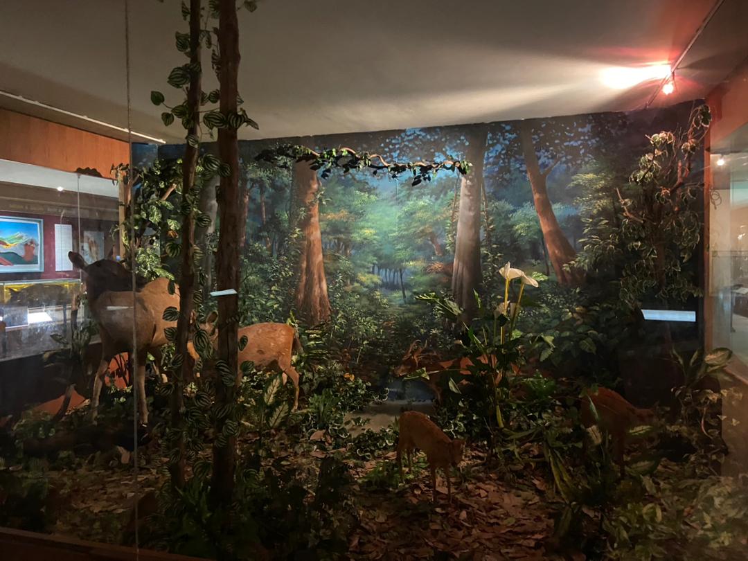 Nature Rescources And Economy Gallery