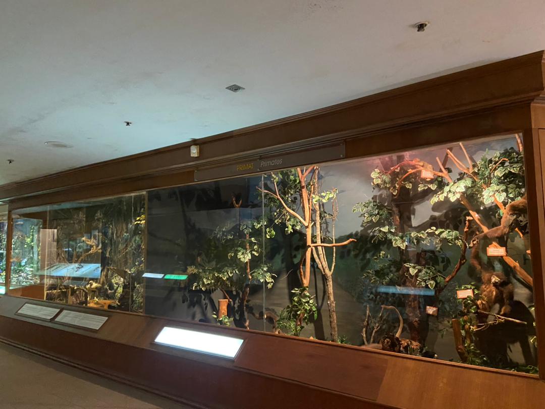 Nature Rescources And Economy Gallery